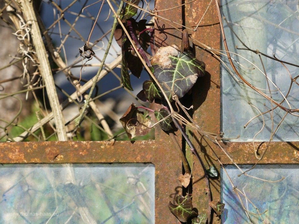 Neue Verwendung für ein altes Stallfenster! Schaugarten 2024 Neue Verwendung für ein altes Stallfenster! Schaugarten 2024