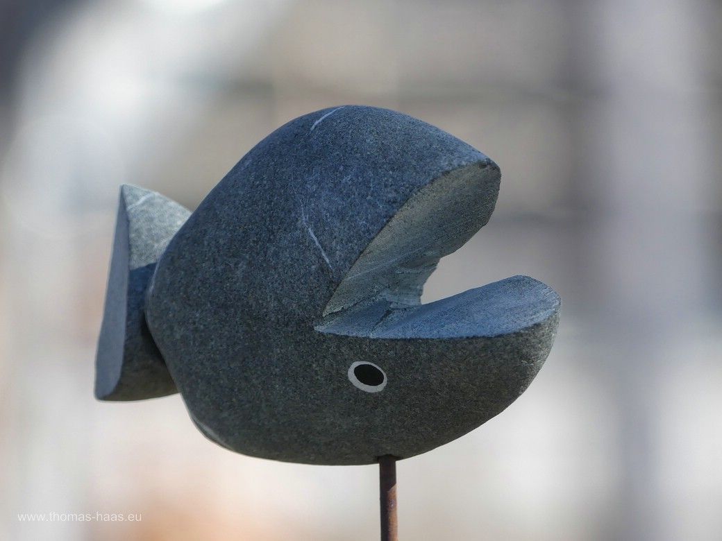 Deko-Steinfisch im Schaugarten, 2024 Deko-Steinfisch im Schaugarten, 2024