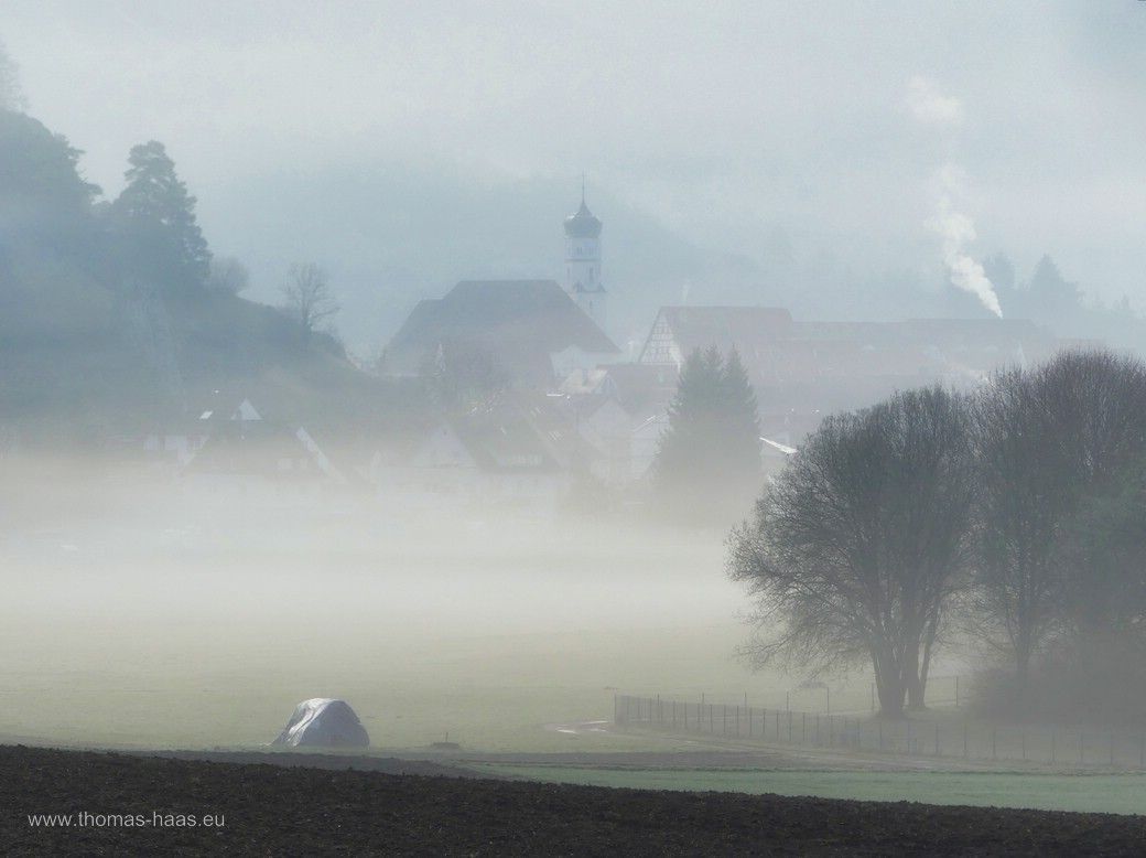 Schelklingen im Frühnebel, März 2024 Mystische Landschaft auf der Alb, Frühnebel, Schelklingen, Marz 2024