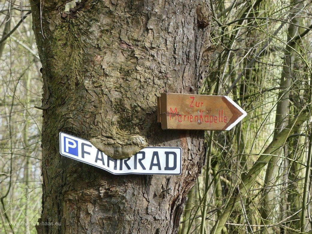Ein Schild wird vom Baum überwuchert, 2024 Bäume mit mächtig Hunger!
Ein Schild wird überwuchert!