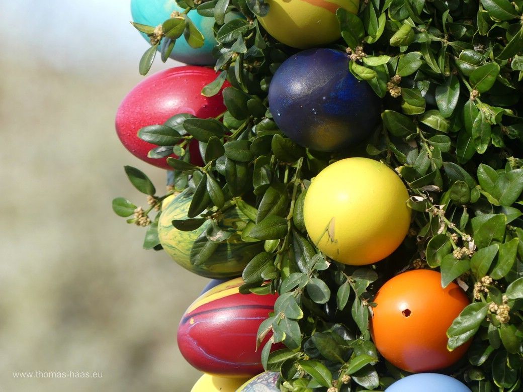 Osterbrunnen 2024 Wiblingen Am Osterbrunnen im Lustgarten von Kloster Wiblingen, 2024