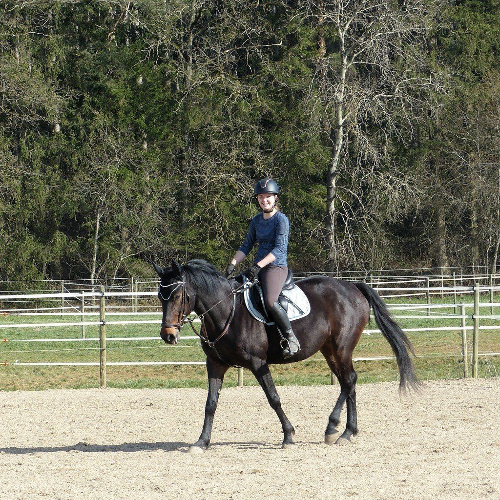 Jenny und Petty auf dem Platz...