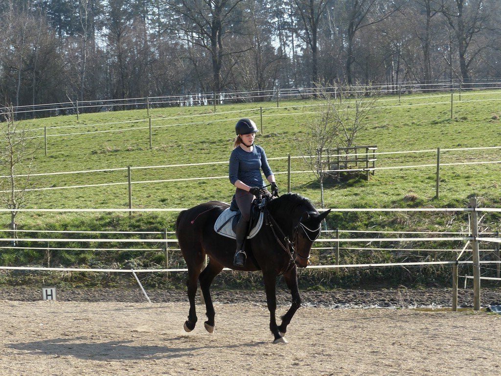 ...auf dem Platz: Jenny und Petty.