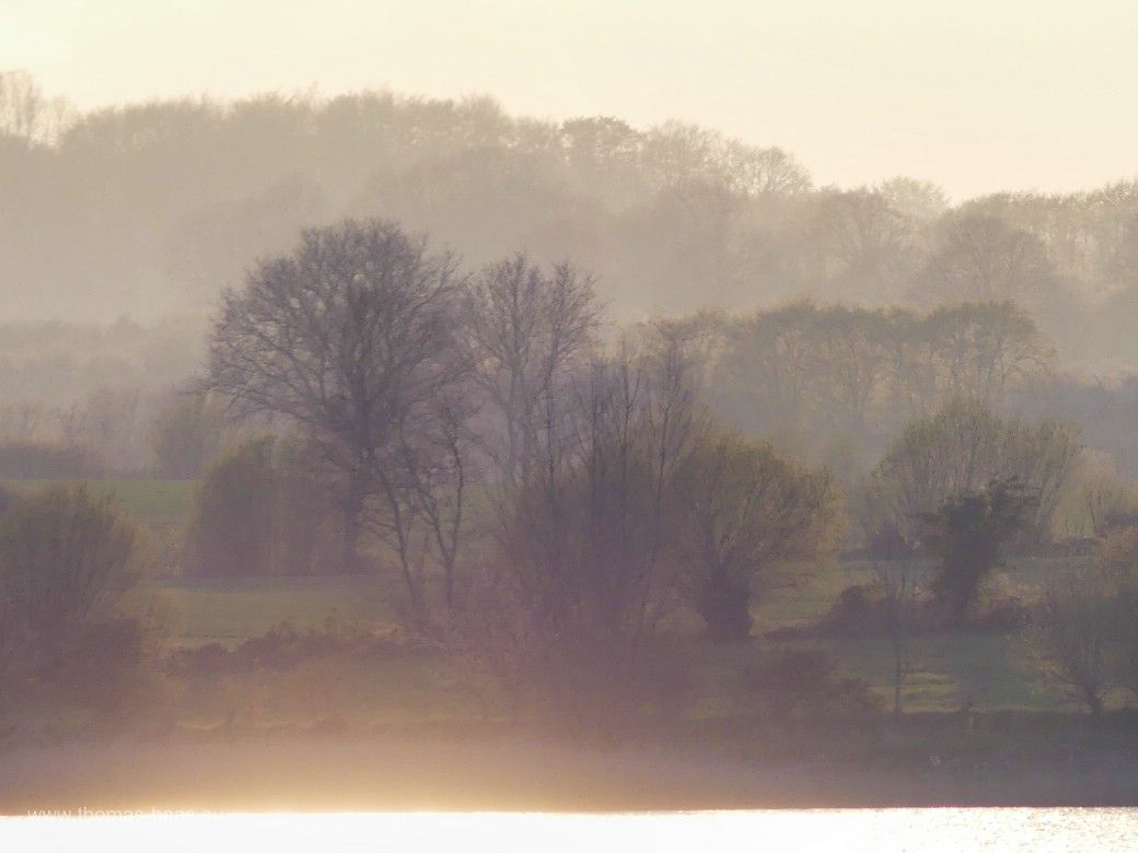 Sonnenuntergang, Abendnebel und Gegenlicht an der Schlei, April 2024 Sonnenuntergang, Abendnebel und Gegenlicht an der Schlei, April 2024