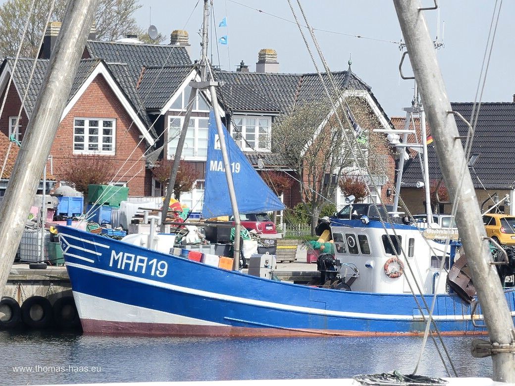 Die Flotte im Hafen von Maasholm, April 2024