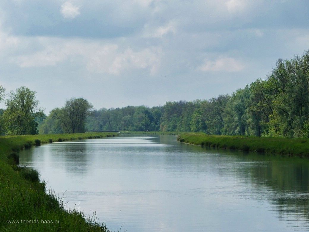 Am Illerkanal mit Blick Richtung Süden, Mai 2024 Kanalidylle, Mai 2024