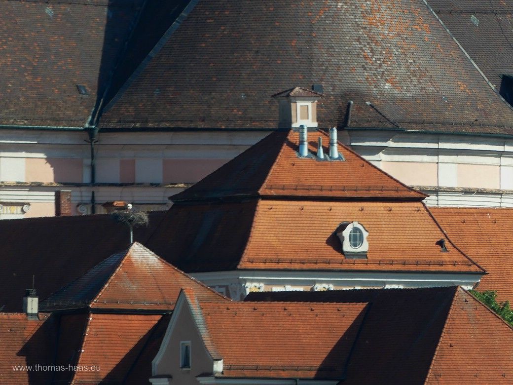 Dachlandschaft, Kloster und Basilika in Wiblingen, 2024