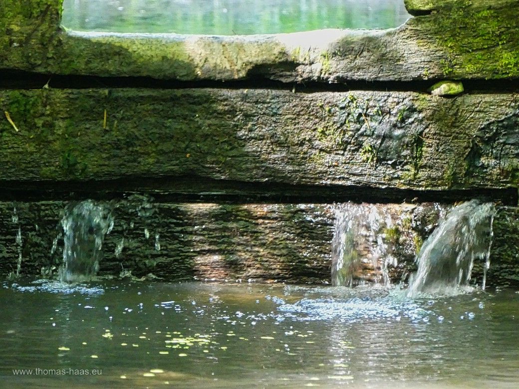 Wasserspiel, Weihung im Ulmer Auwald, 2024