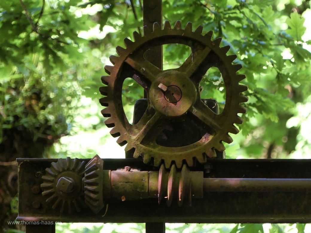 Fallenstock am Bachlauf der Weihung, 2024 Fallenstock am Bachlauf der Weihung, 2024