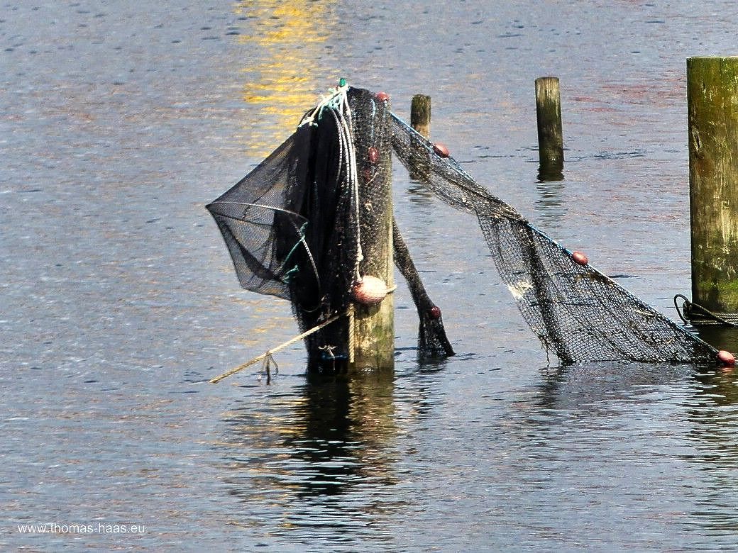 Der Heringszaun in Kappeln, 2024 Der Heringszaun in Kappeln, 2024