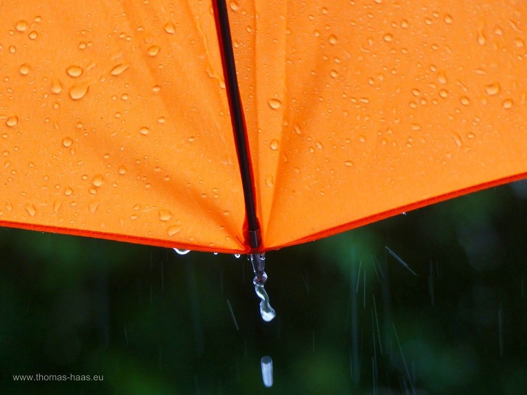 Regenschirm im Dauerregen, 2024