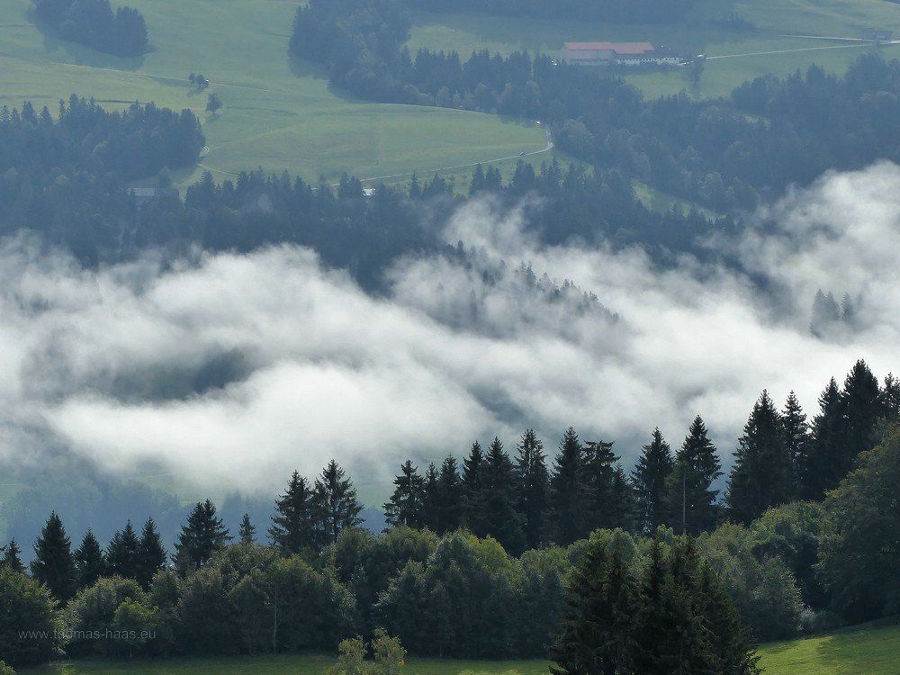 Blick vom Turm im skywalk, Scheidegg, 2019 Allgäulandschaft mit Nebelschwaden...
