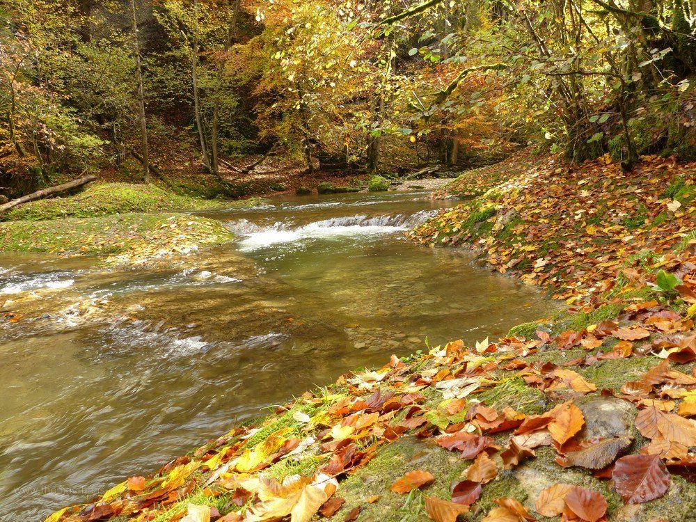 Wasserlandschaft Eistobel, Oktober 2019 Eistobel bei Isny, Oktober 2019