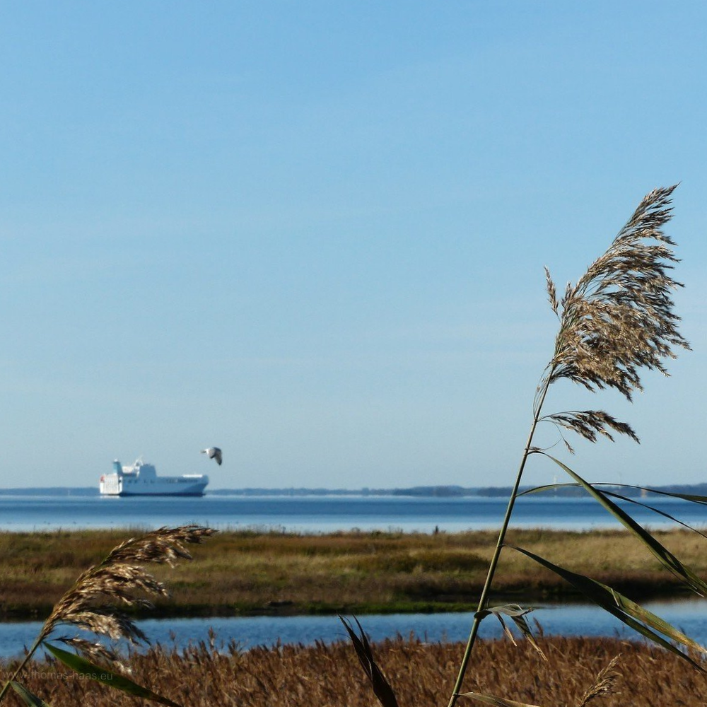 Geltinger Birk, der Blick geht in Richtung Flensburger Förde und nach Dänemark, Oktober 2019 Die Geltinger Birk an der Flensburger Förde...