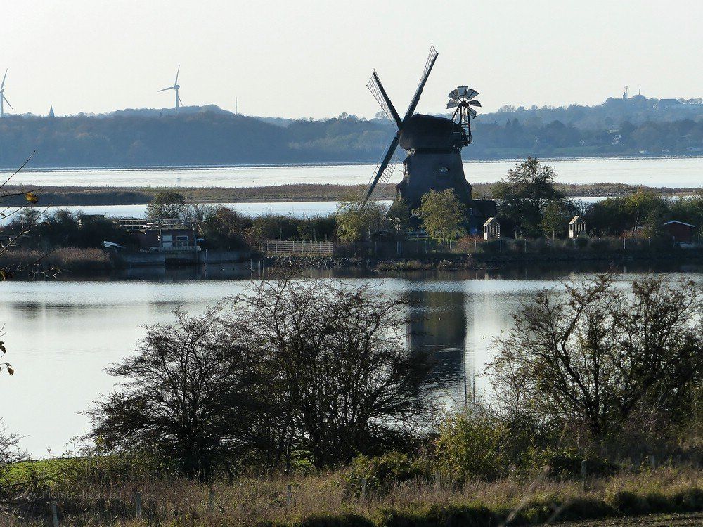 Blick zur Windmühle Charlotte, Geltinger Birk, Oktober 2019