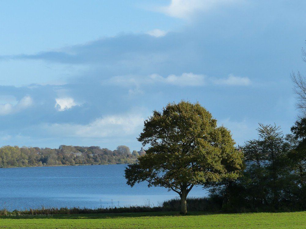 Windebyer Noor, der blcik geht nach Eckernförde, das Rundsilo ist erkennbar, Oktober 2019 Am Windebyer Noor mit Blick in Richtung Eckernförde...