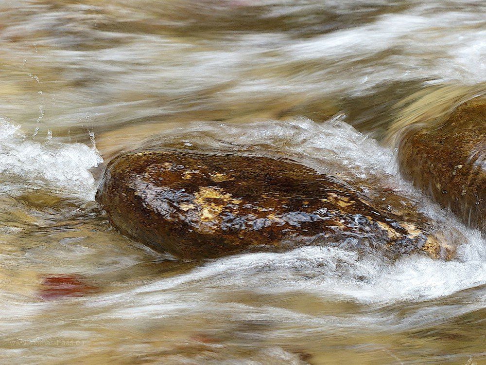 Die Obere Argen im Eistobel Im Eistobel unterwegs...