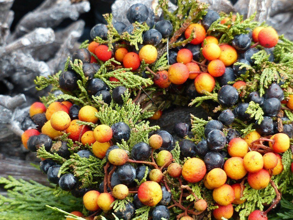 Beerenkranz, Winterdeko