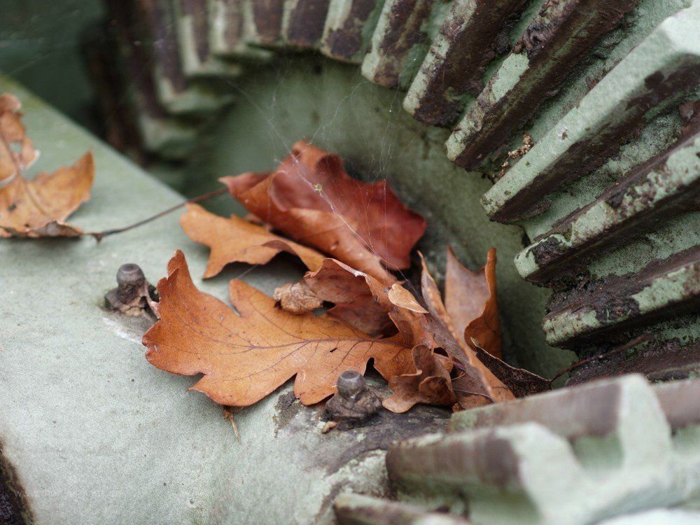 Braune Buchenblätter und grünes Metall, ein Zahnrad des Fallenstocks.