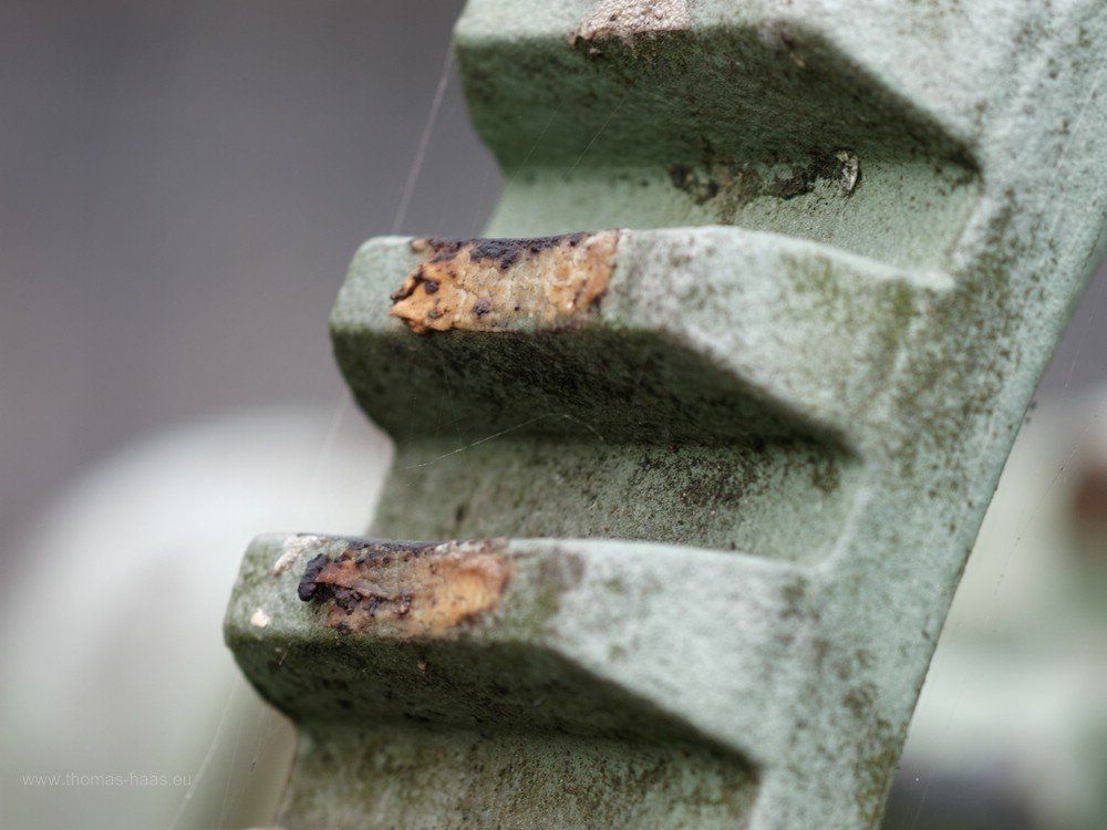 Fallenstock am alten Wehr. Zahnrad am Fallenstock...
