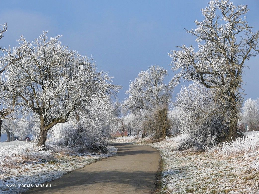 Frost in der Schloßstraße in Illerkirchberg, Januar 2024 Die Schloßstraße in Illerkirchberg, Januar 2024, Frost...