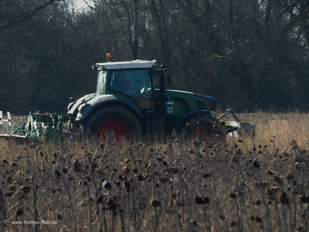 Es geht über die Felder... - Landwirt bei der Arbeit! Es geht über die Felder... Sonnenblumenfeld vom Vorjahr und Traktor bei der Arbeit.