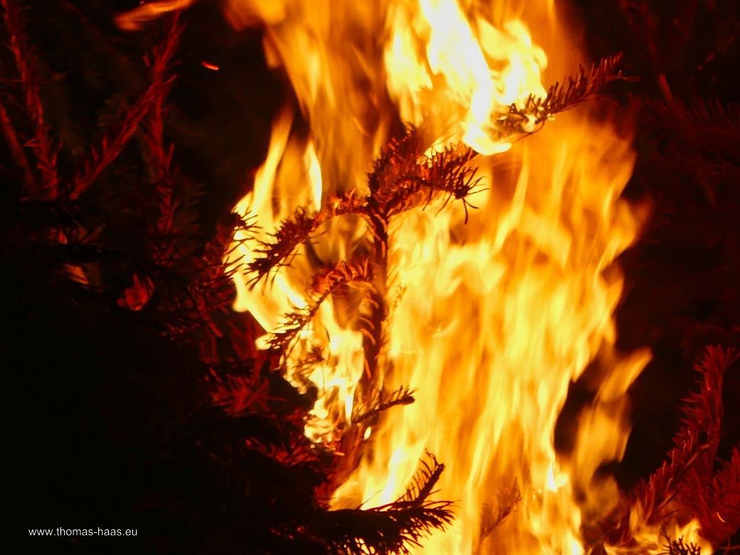 Das Bellenberger Funkenfeuer 2025 lodert...