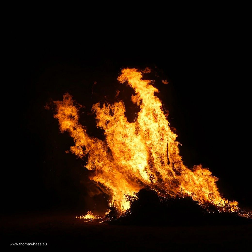 Feuerdrachen...