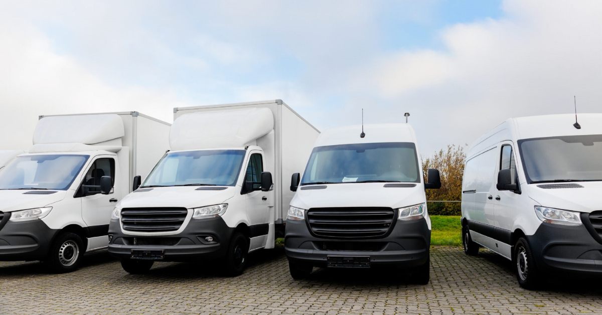 Different types of vans lined up in a car park