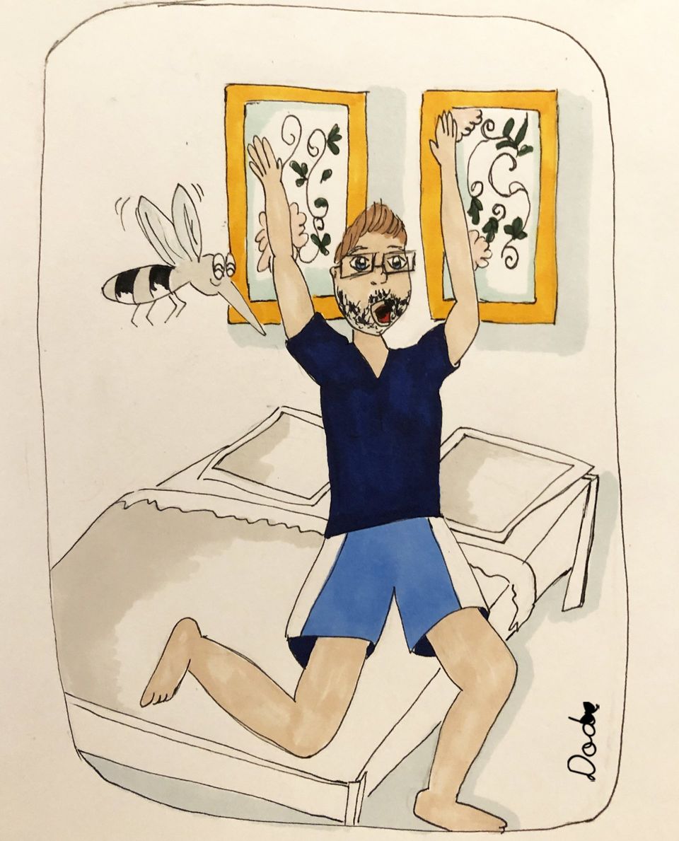 illustration moustique, chambre dod illustratrice