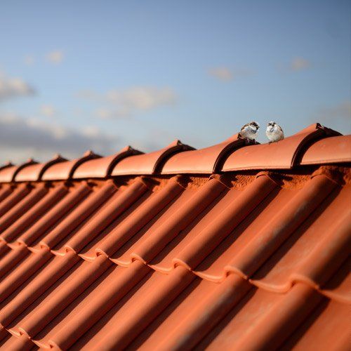 Wir bieten Ihnen  Dachsanierung und Dacheindeckung, Dachstühle, Dachfenster und Dachgauben sowie stilvolle Dachverzierungen