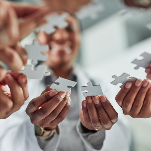 Notre savoir-faire Notre savoir-faire