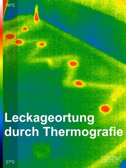 feuchter Keller, Schimmel, Putz, Wasserschaden, Sarnierung Wand BodenWärmeortung, Leckageortung, Wasserschaden, Feuchtigkeit, Bautrocknung, Bergmann, Feuchtigkeitsmessung, Schimmel, feuchte Keller, Wasserschadensarnierung,Aschaffenburg, Seligenstadt, Frankfurt