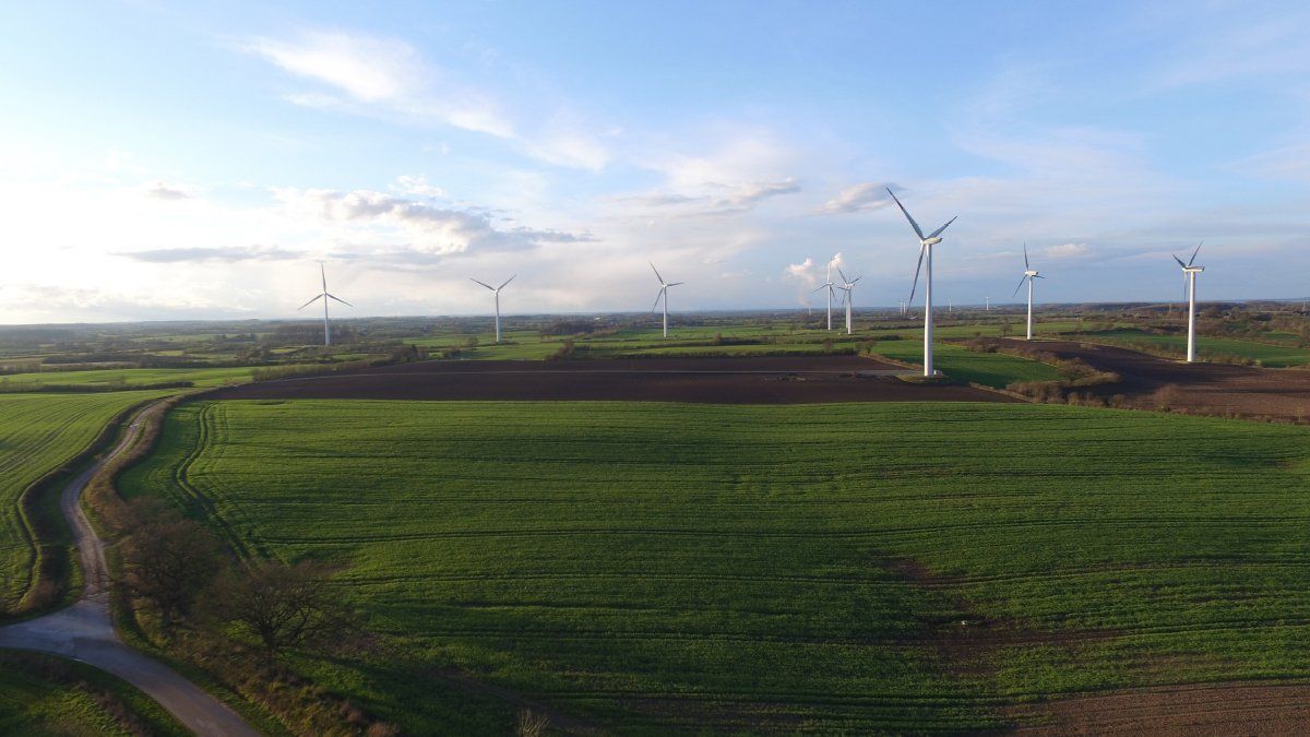 Bild von mehreren Windmühlen