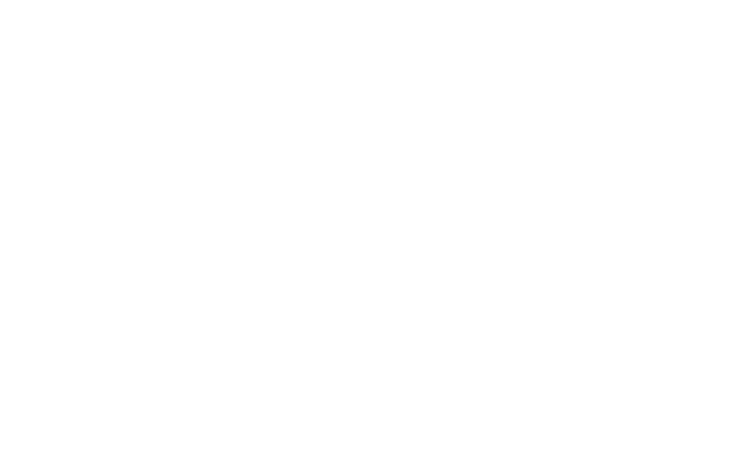 Logo Anne Wolff Mentorin für unkonventionelles Self- & Teamleadership