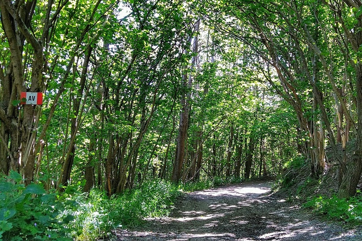 Bardineto, percorsi e panorami sui sentieri da trekking e mountain bike. Bardineto, paths and views on the hiking and mountain biking trails. Bardineto. Bardineto Outdoor. Trekking, e-bike, mtb, outdoor, Alta Via dei Monti Liguri, Sentiero Balcone dei Balzi Rossi, boschi , panorami , Finale Ligure , Loano , Finale Outdoor Region.