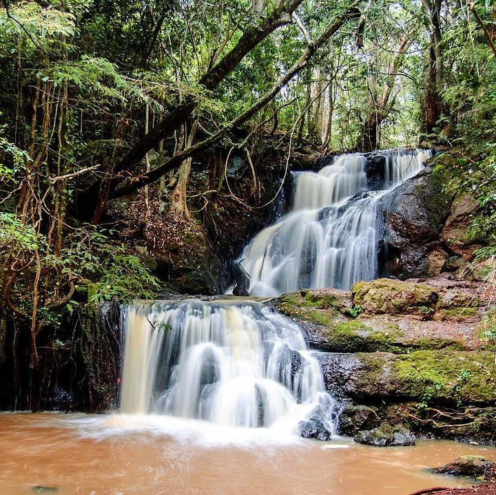 Life Coaching at Waterfall Nature Coaching