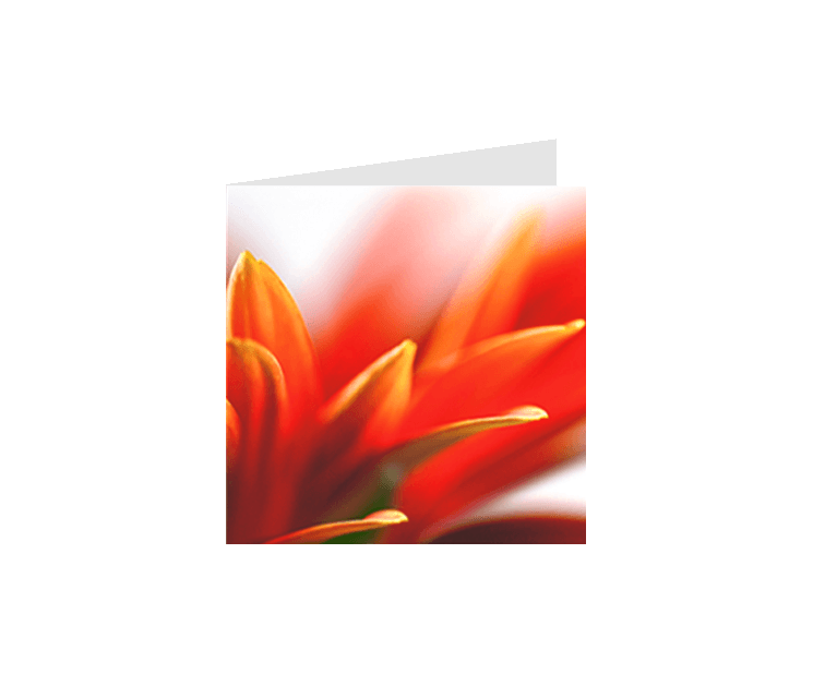 Faire-part mariage Plan de tables KellyGraphic