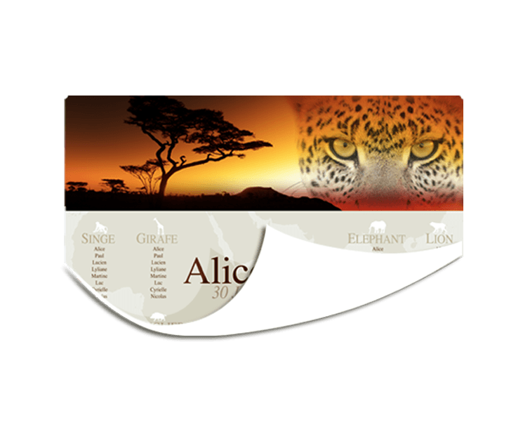 Plan de tables de mariage personnalisé : poster