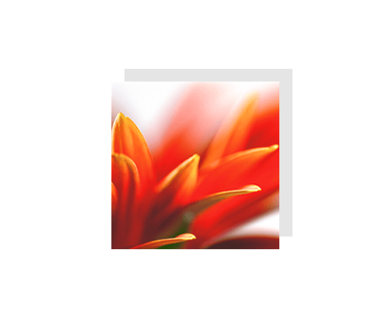 Faire-part mariage Plan de tables KellyGraphic