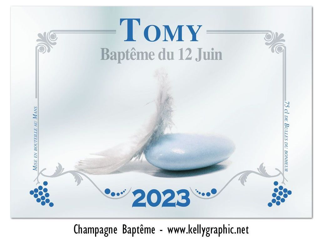 Etiquettes bouteilles Champagne baptème Etiquettes autocollantes personnalisées bouteilles Champagne ou Vin baptème