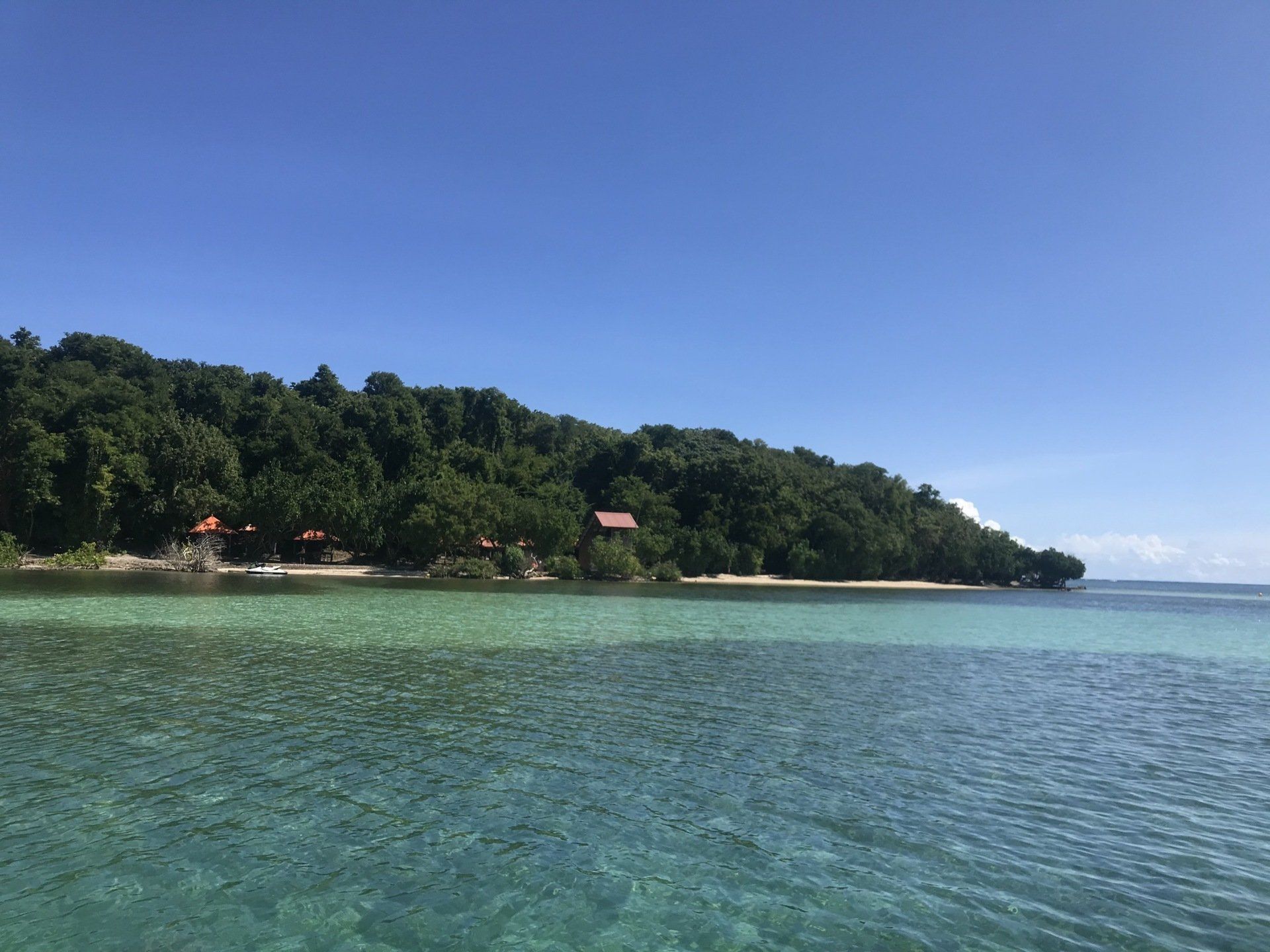Les Îlets du Robert en Martinique : nature, récifs coralliens ..