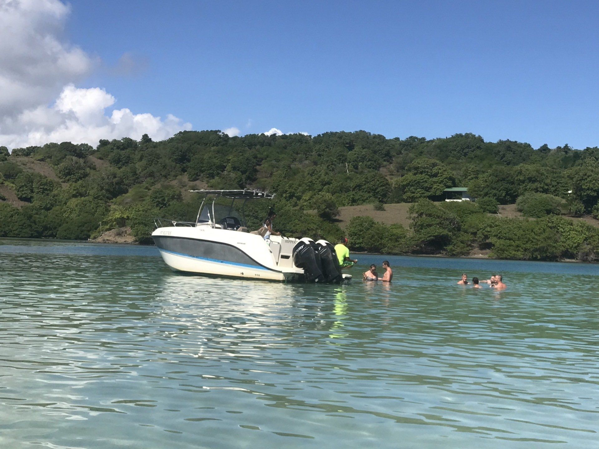L’Hippocampe, bateau de Côte au Vent, explore la mangrove verdoyante de la côte atlantique martiniquaise.