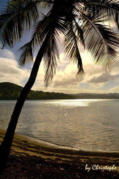 Coucher de soleil sur la côte atlantique de la Martinique, avec les reflets dorés du soir illuminant les fonds blancs.