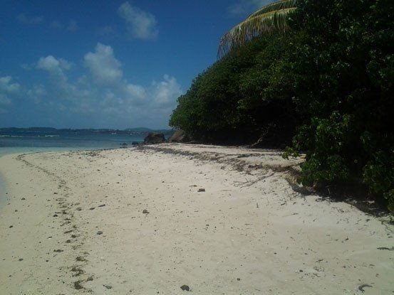 Coteauvent.fr Martinique votre excursion en mer