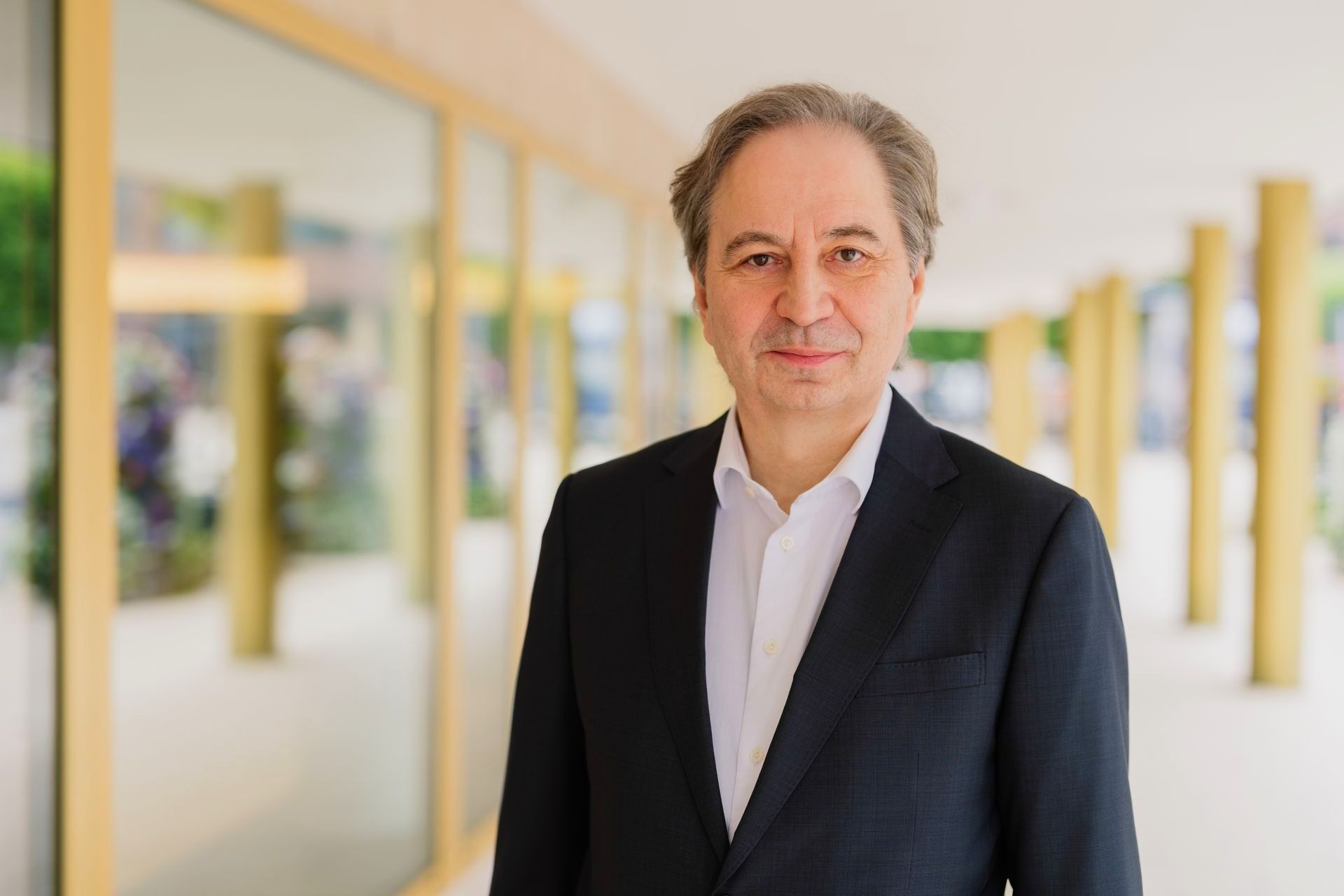 Rechtsanwalt für die Teilungsversteigerung: Johannes Steger Teilungsversteigerung Rechtsanwalt Johannes Steger Hamburg