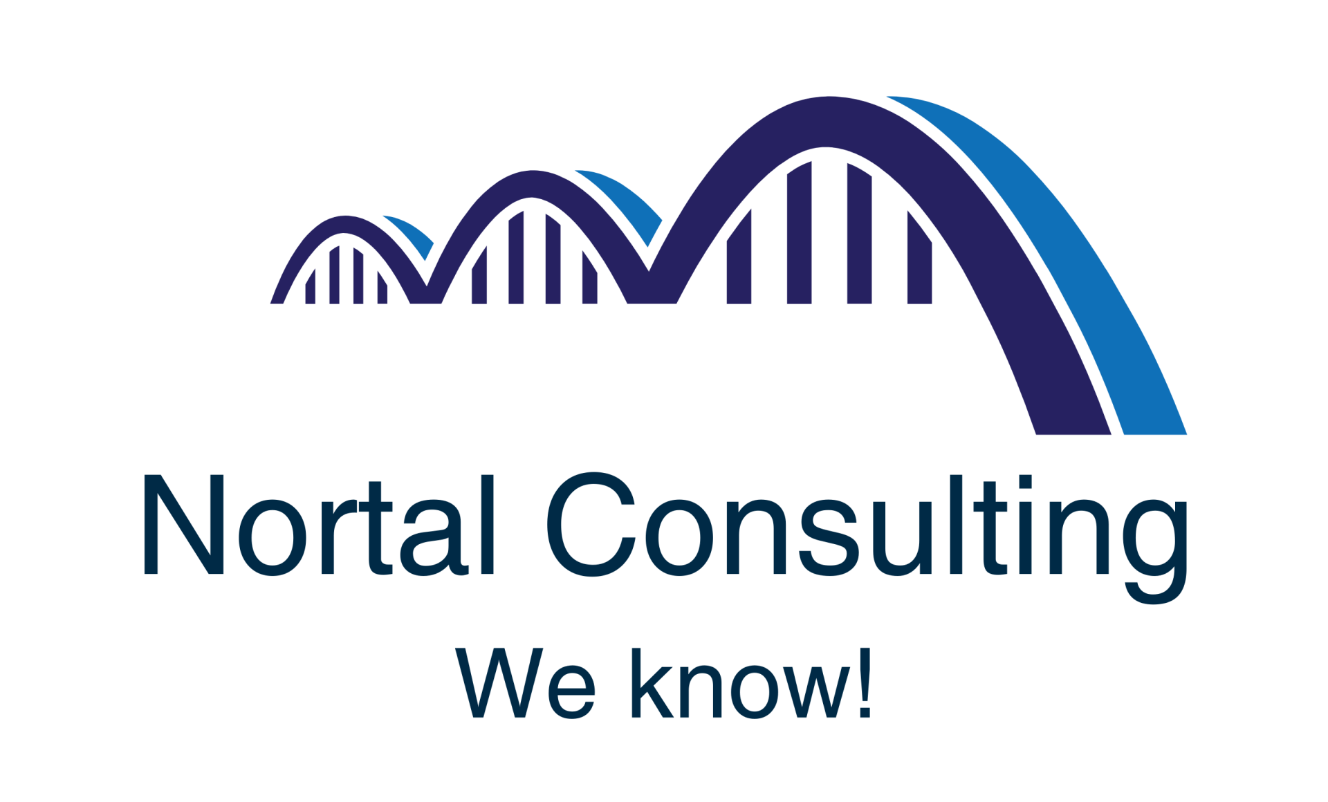 Nortal Consulting LOGO