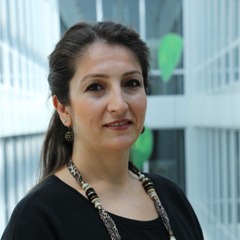 Ali Uğur Tülüoğlu FORD OTOSAN