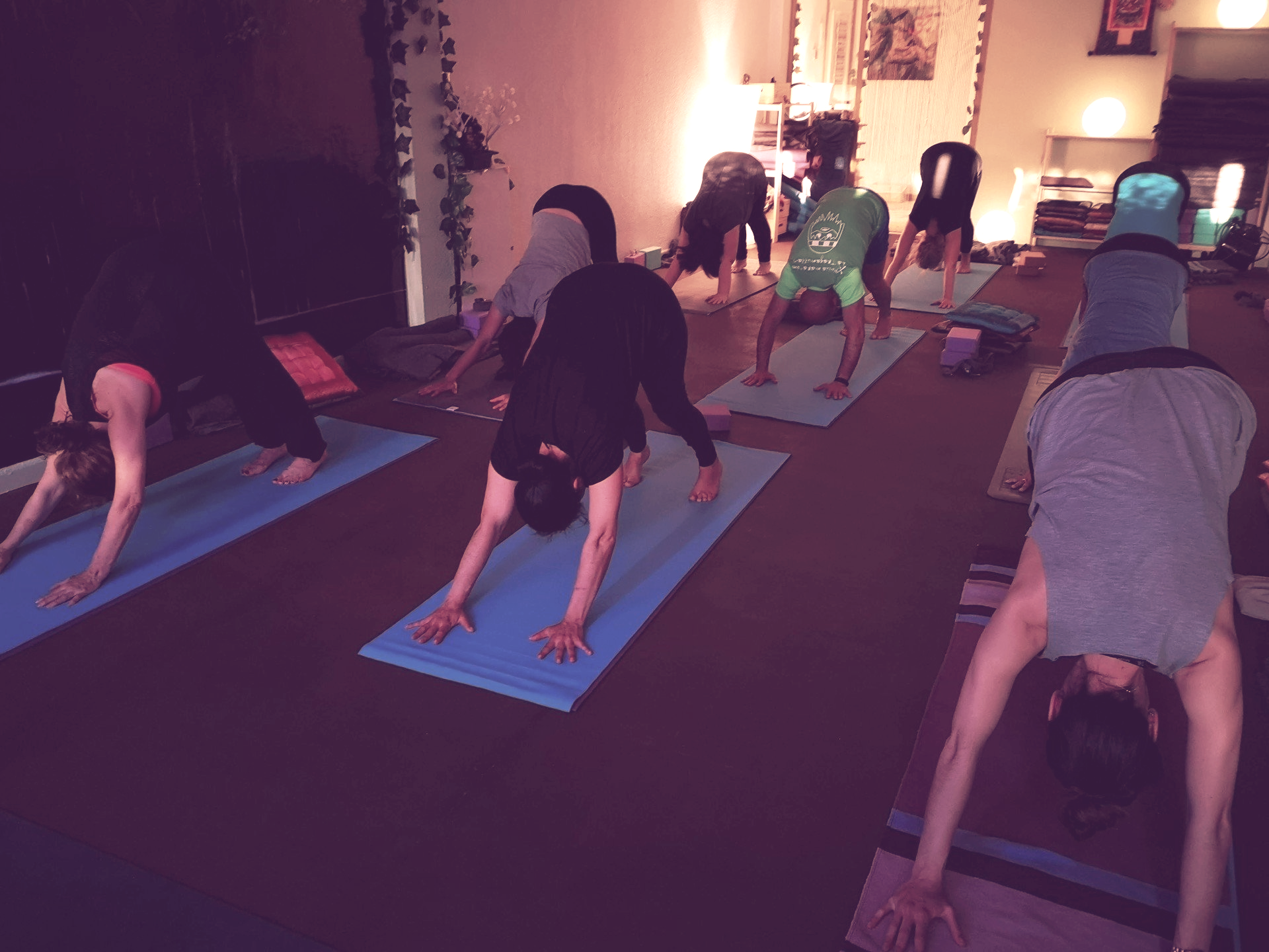 Formación y experiencia en yoga - Equipo AimYoga en Alpedrete