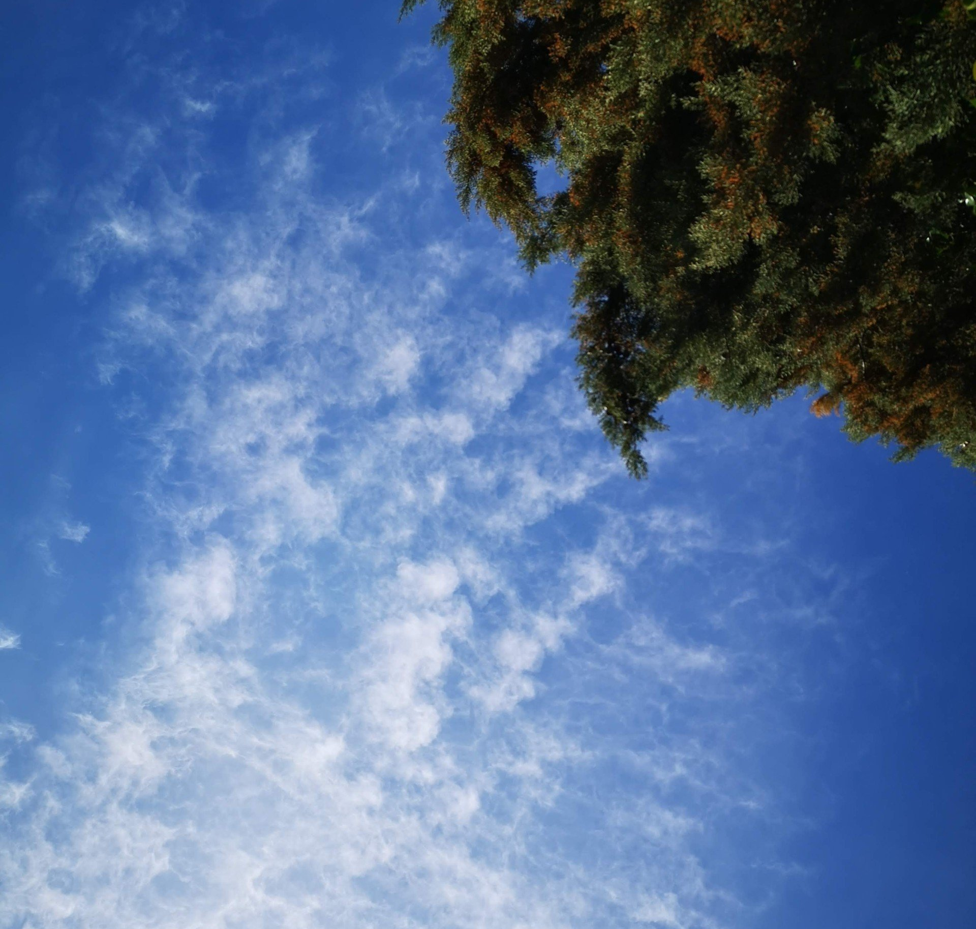 Entorno natural en la Sierra de Madrid en una clase de yoga mirando al cielo